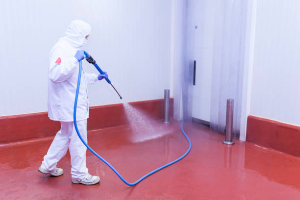 Professional Pressure Washing Services in Chino Hills, CA